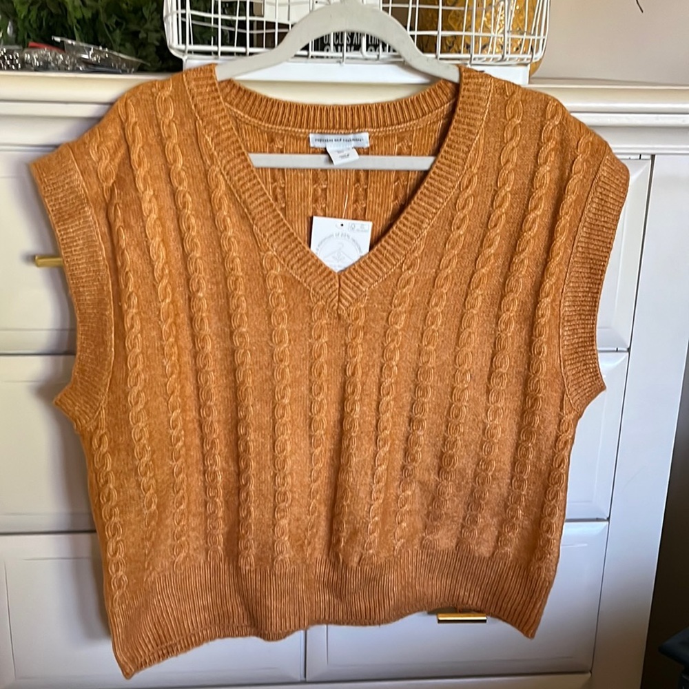 Cupcakes and Cashmere - V neck sweater vest Size: L